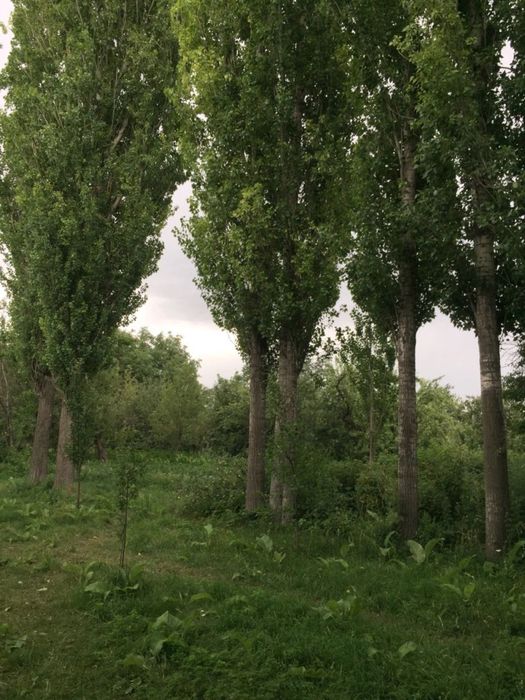 Частный дом с большой территорией