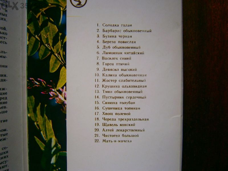 Зелената аптека (руски)