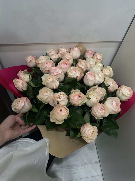 Цветы метровый роза