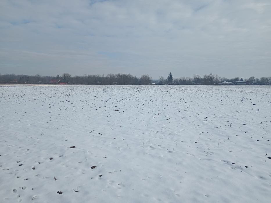 Teren Intravilan +casă