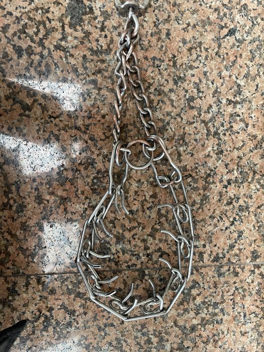 Строгач для собаки