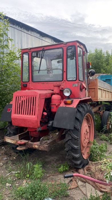 Продам трактор Т16