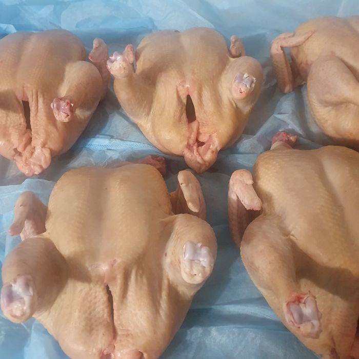 Мясо домашнего бройлера