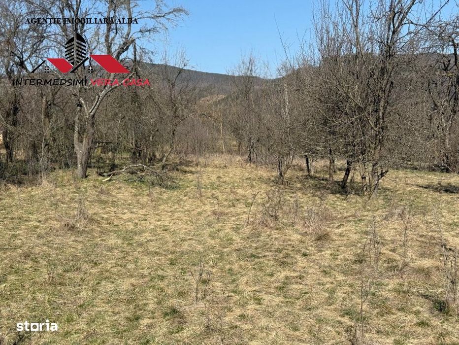 Casa si anexe cu un teren de 7701 mp de vanzare in Stauini  Jud Alba
