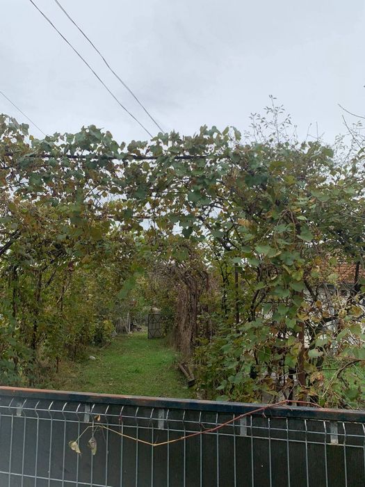 Casa+teren de vanzare