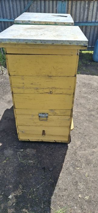 Улики  Продам 3шт