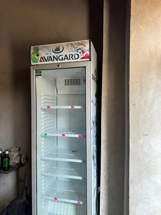 Авангард музлатгич йанги