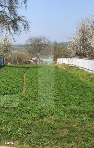 Teren intravilan, 3891 mp, la drum asfaltat, zona Bucecea
