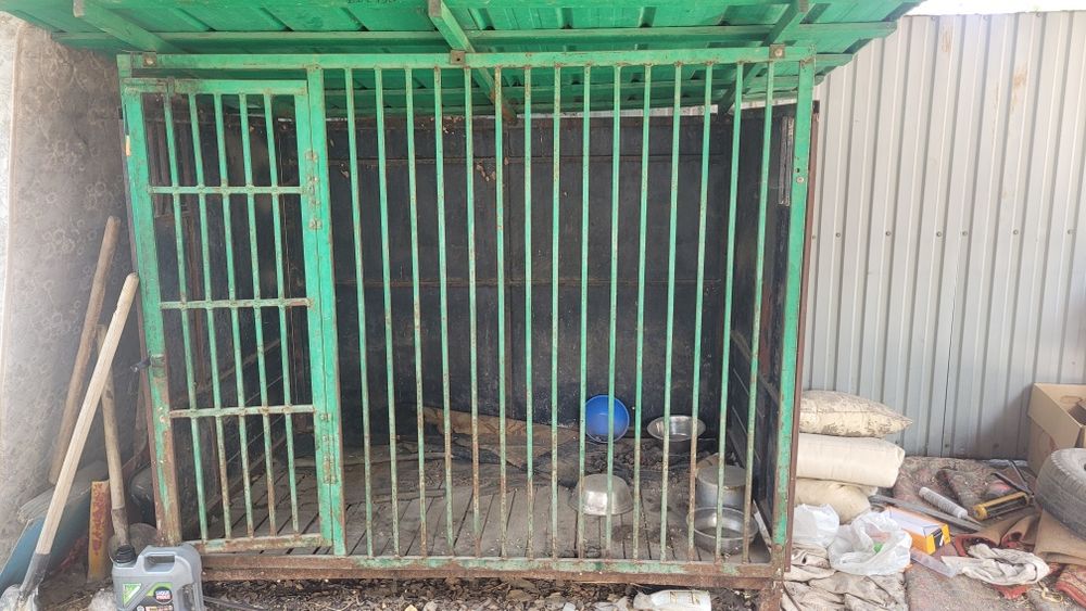 Валер для собак зелёный