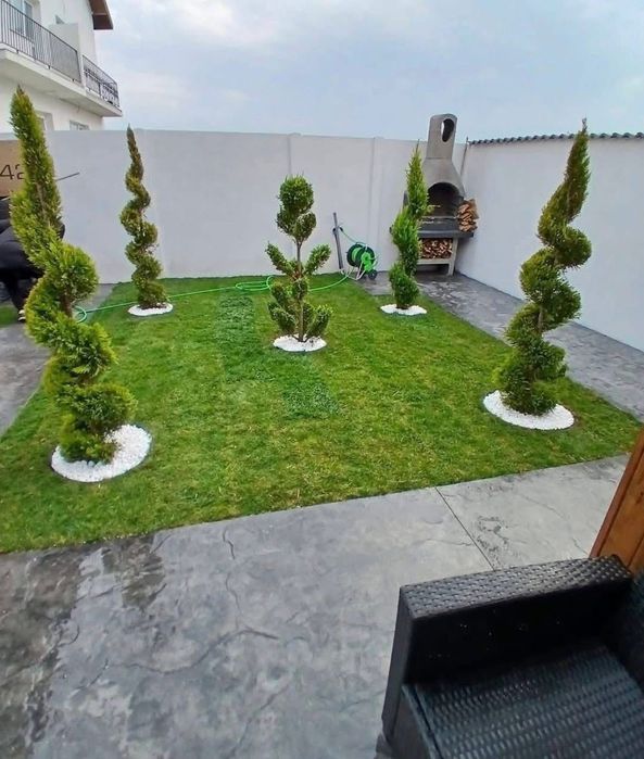 Gazon- plante naturale