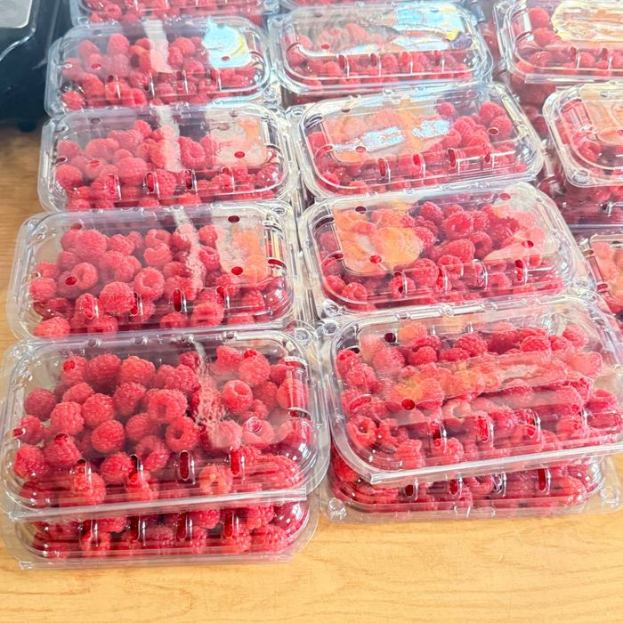 Malina ko”chat sotiladi