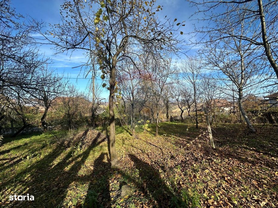 Teren Agricol - Bonus O Casa