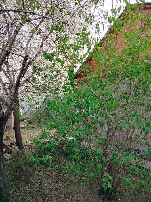 Продается отдельный дом /дача