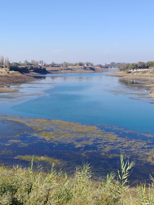 Yer sotiladi SUV bóyida 5000$