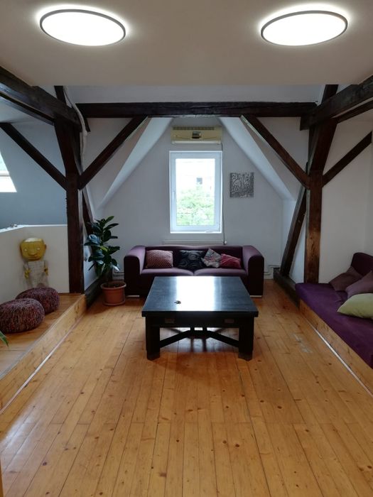 Închiriez apartament  4 camere 3 dormitoare, Pet Friendly, strada Bul Victor Babeș