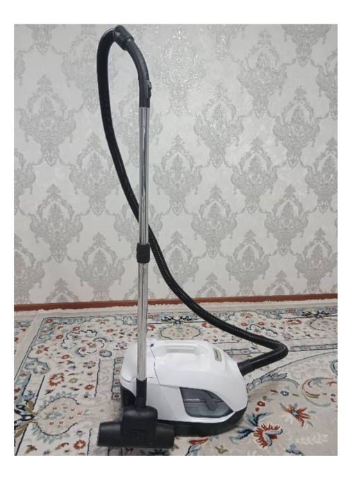 Пылесос Karcher DS 6 PLUS белый