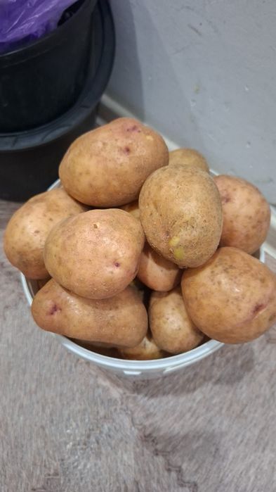 Продам дачу в обществе "Союз"