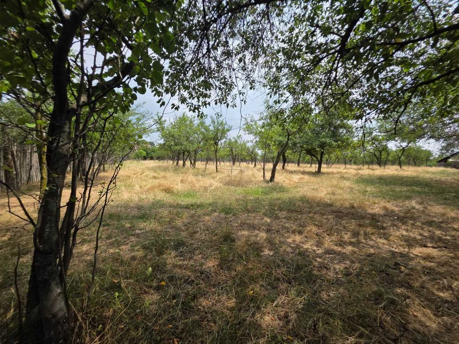 Teren intravilan Babana