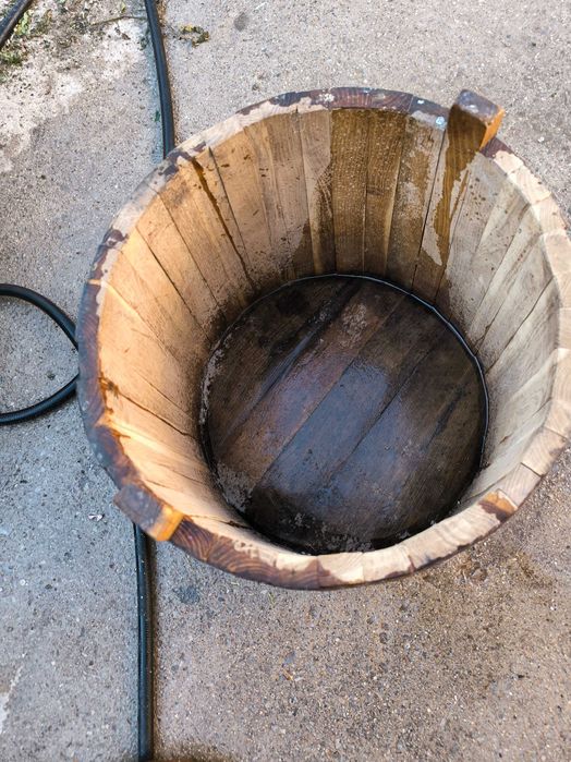 Дъбова каца          .