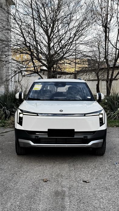 Dongfeng Nammi 06