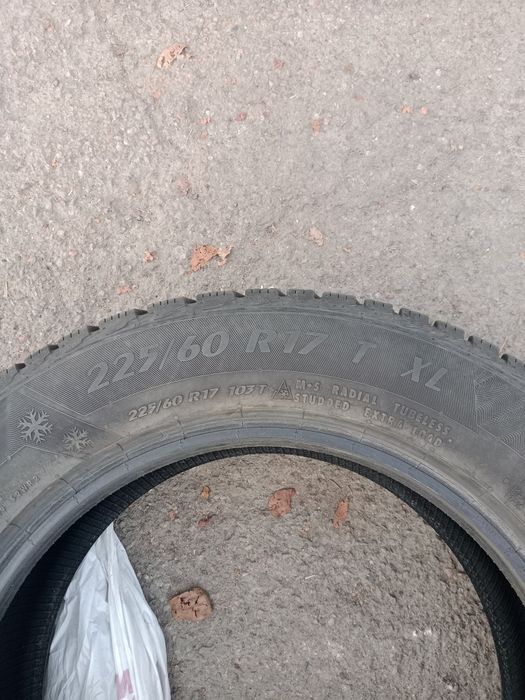 Ризины на 17 шипов