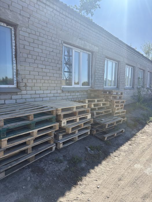 Поддоны хорошие, двух размеров