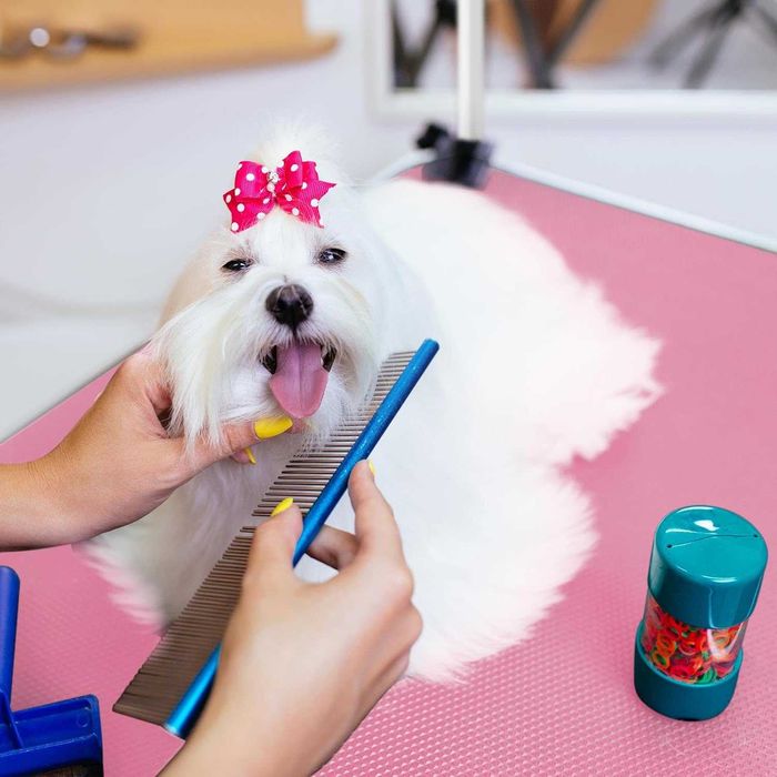 Masa tuns caini pisici reglabila cu cos 80 cm |S 591610 Pink