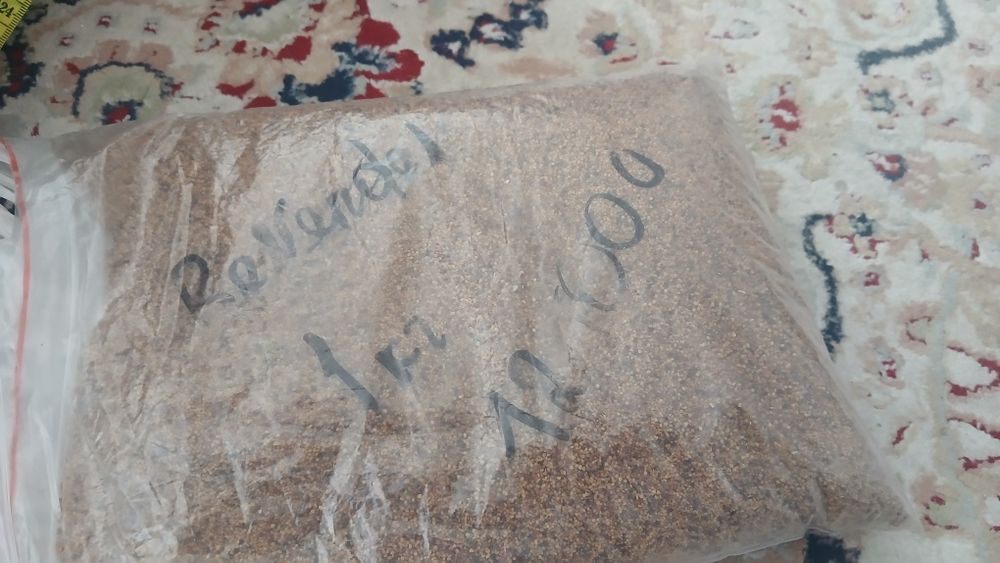 Клевер жылдам шыгады