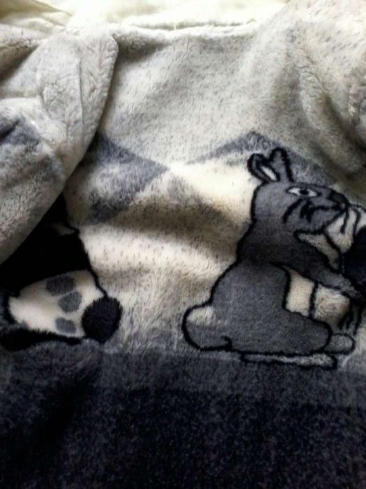 Vand haina de blana dama