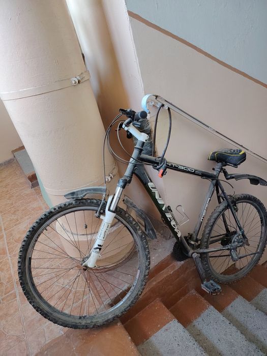 Velosiped sotiladi, Arendagayam beriladi kuryerlar uchun
