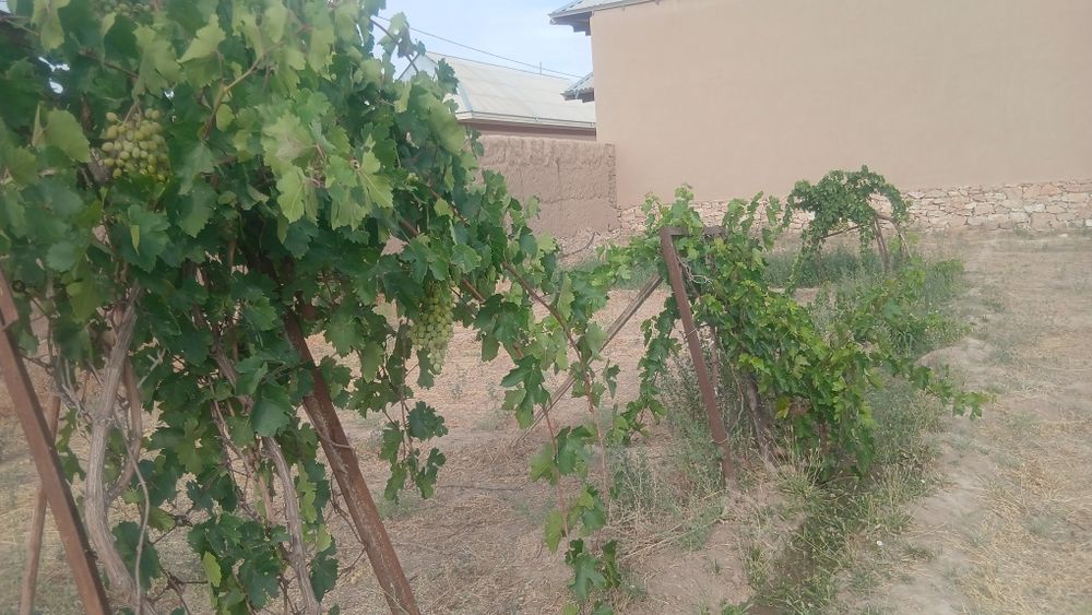 Yer uchastka sotiladi