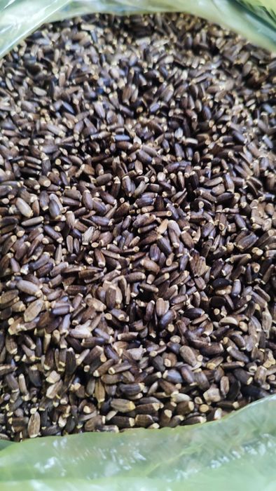 Еко семена от Бял трън