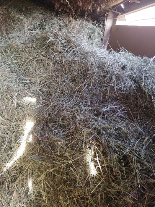 Сено, домашний покос