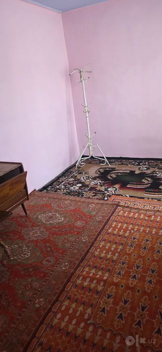 Студент кизларни ижорага куйамис