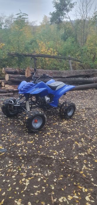 Vând/schimb atv bashan
