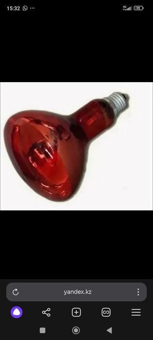 Инфракрасная лампа для цыплят