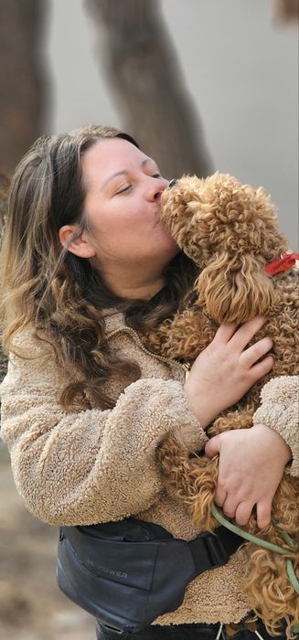 Частная мини  передержка животных