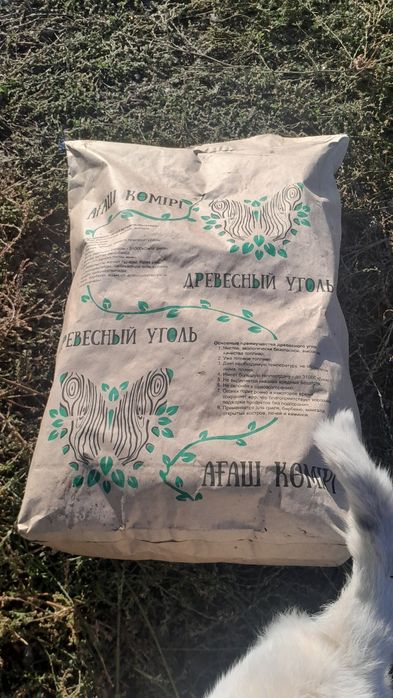 EcoUqol — табиғи ағаш көмірі