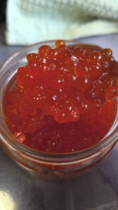 Продам красную икру