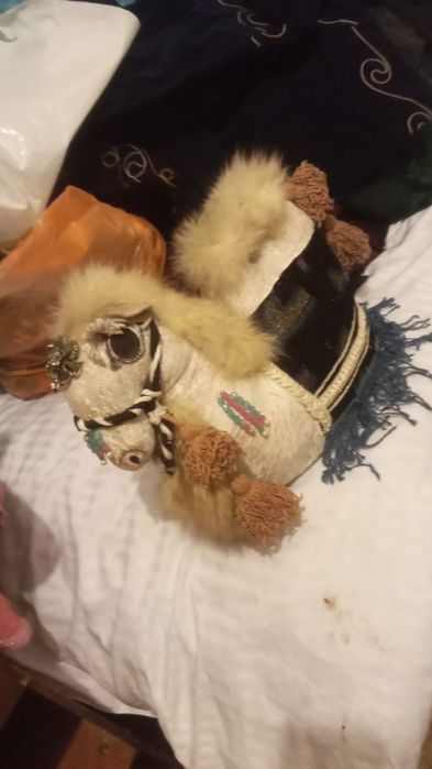 Продаю верблюд мулаш