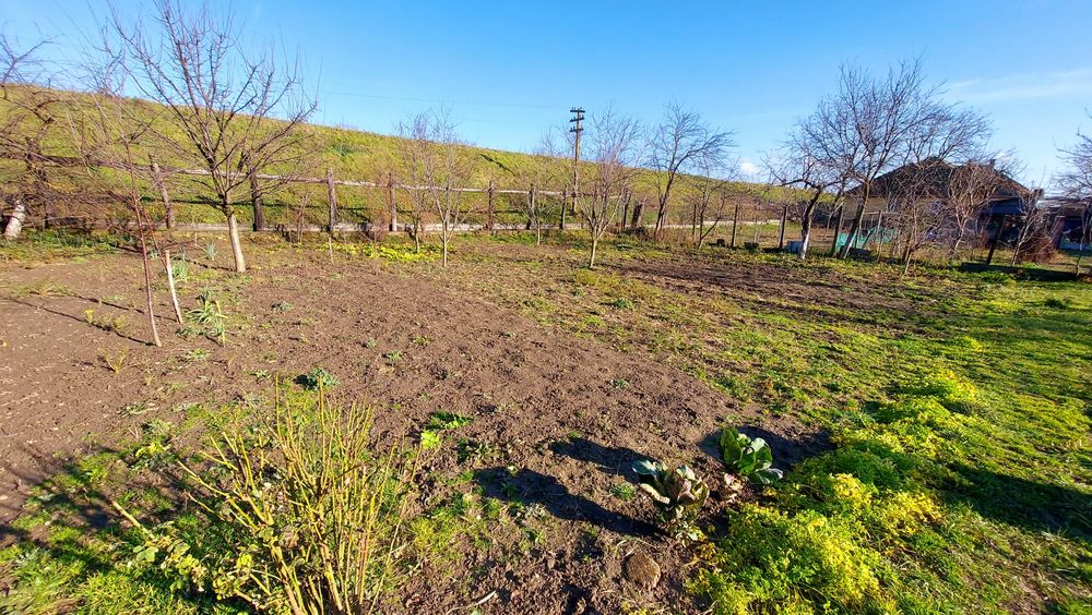 Vând 2 case în Chișineu Criș (schimb cu casă în Arad)