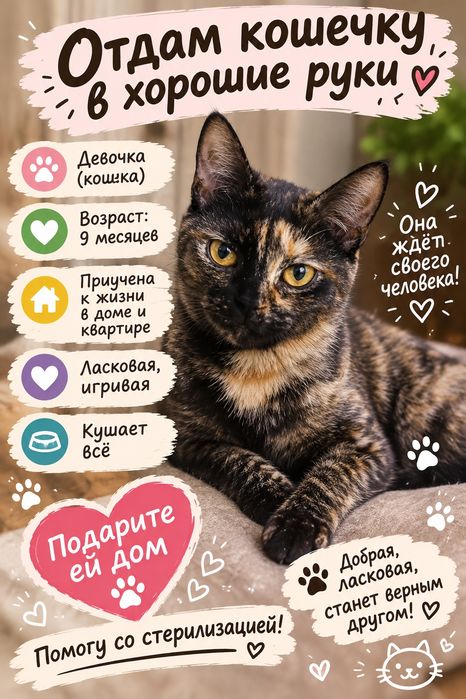 Отдам замечательную кошку