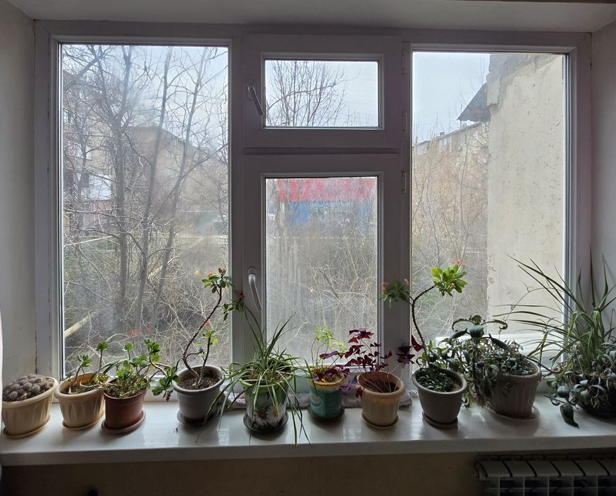 Окно пластиковое