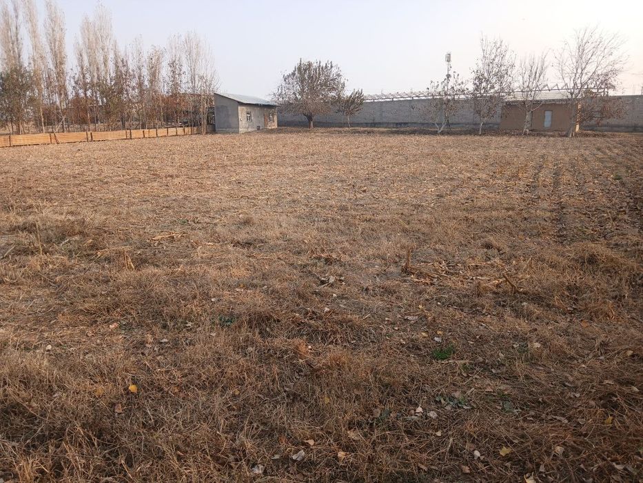 42 sotix uchastka natariusga tayyor