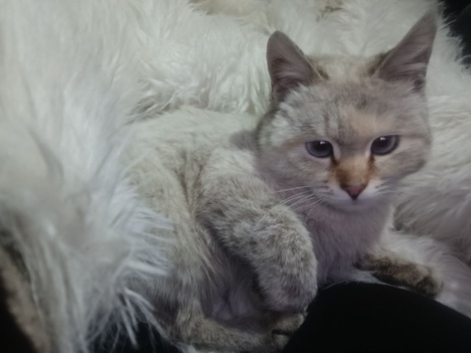 Тегын алып кетсениздер болды