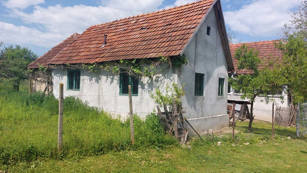 Vand casa cu gradina in suprafata de 2700mp.