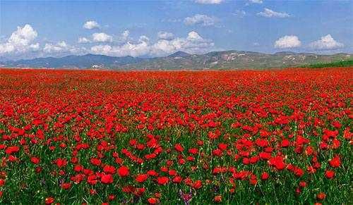 Продаёься Дача не далеко от Красногорска