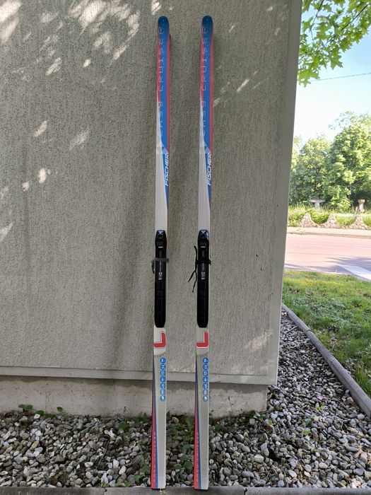 Schiuri Fond Fischer 184 Cm
