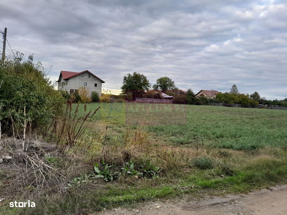 De Vanzare Teren 2000 Mp  -  Cosereni( Il )