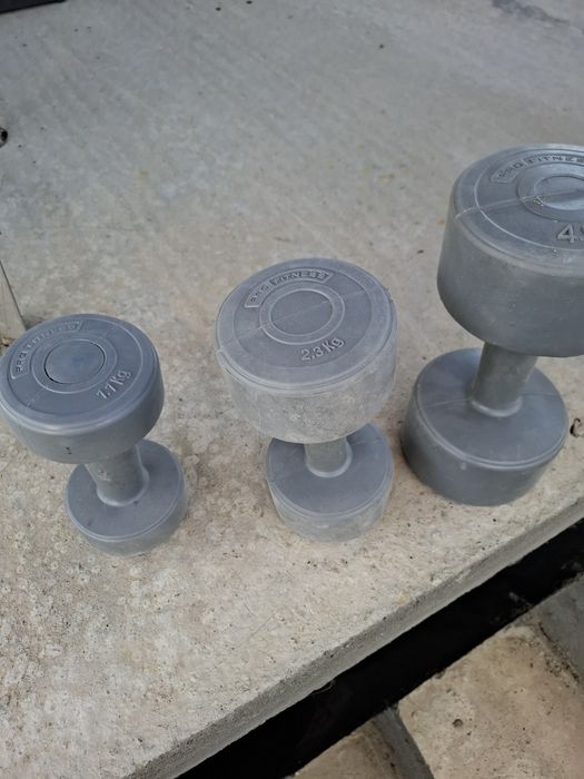 Set gantere fitness